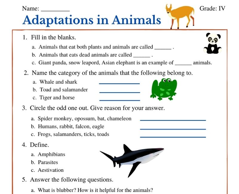 Adaptations in Animals class 4 worksheets