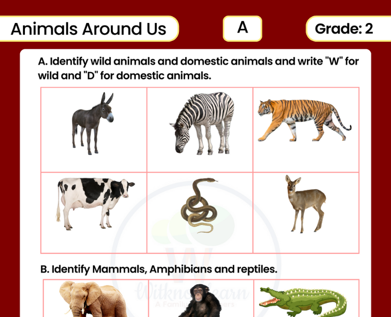 Animals around us class 2 worksheets with answers