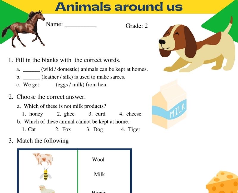 Animals around us worksheet for grade 2