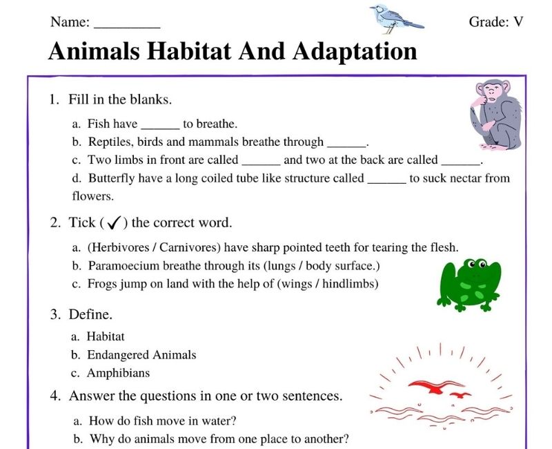Discovering Animal Habitats And Adaptations A Printable Worksheet For 