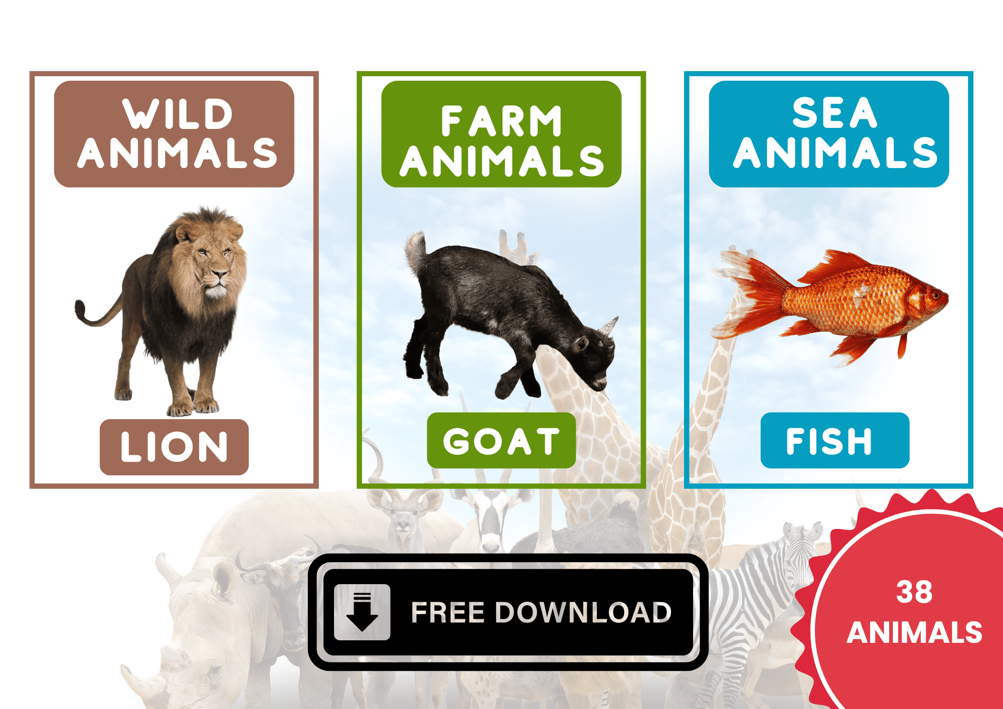 animals-printable-flashcards-38-animals-flashcards-free-download