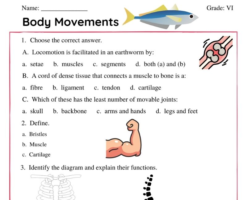Free Worksheets for CBSE SCIENCE