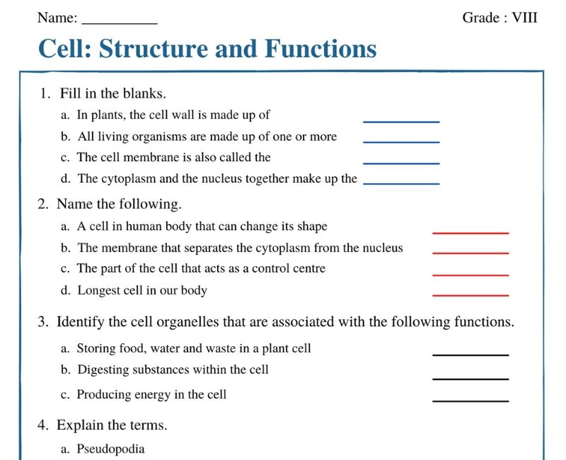 39 cell structure and function worksheet Worksheet Master