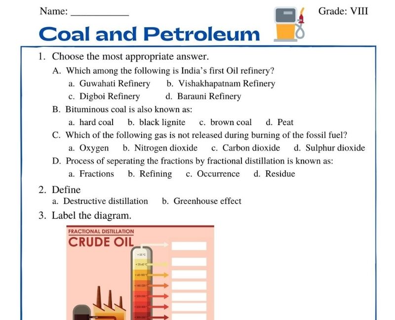 What You Need to Know About Coal and Petroleum: Class 8 Worksheet