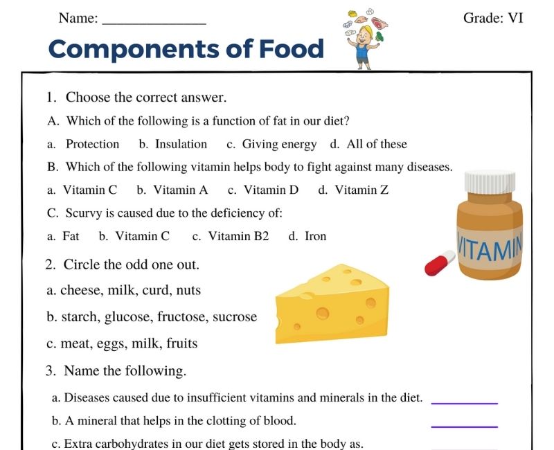 printable-components-of-food-worksheets-for-class-6-students