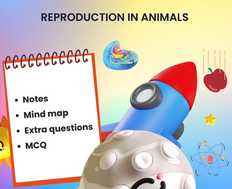 Comprehensive Notes on Reproduction in animals for Class 8
