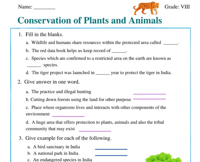 A Comprehensive Guide to the Conservation of Plants and Animals Class 8  Worksheet