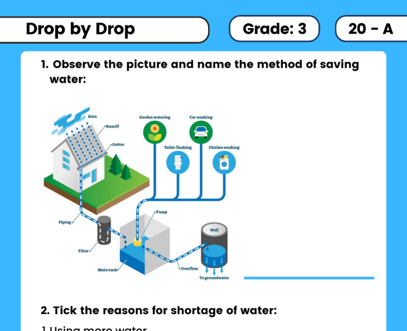 Master Environmental Science with Drop by Drop Class 3 EVS Worksheets