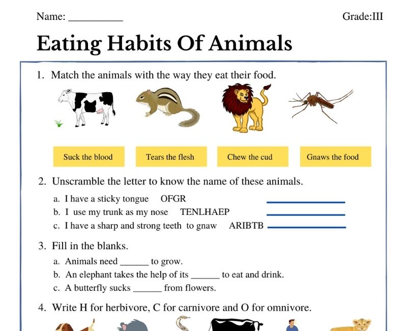 Eating Habits Of Animals | class 3 worksheet