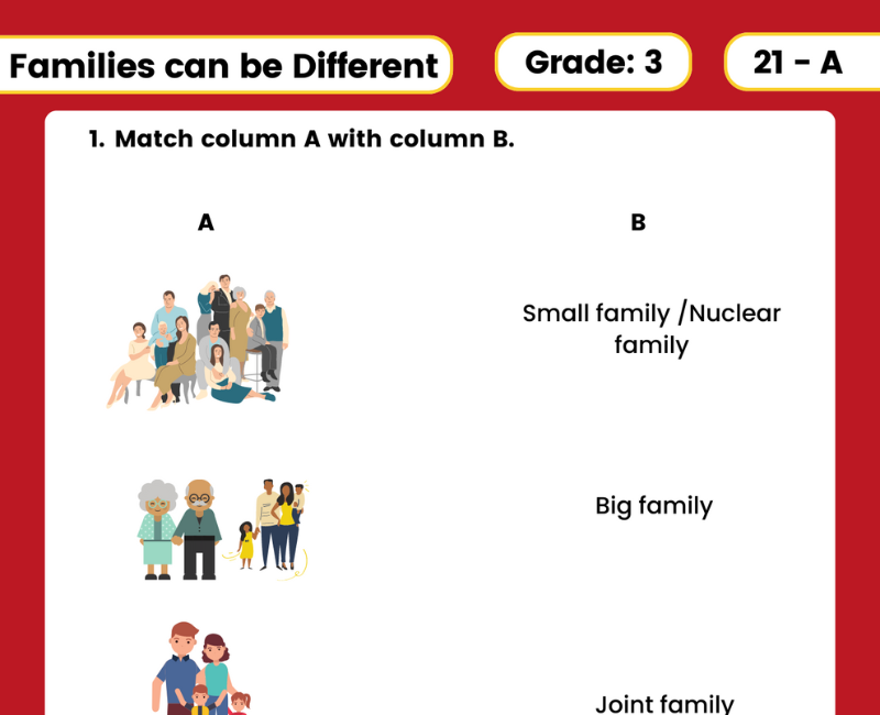 3-pages-of-fun-and-educational-families-can-be-different-class-3-evs-worksheets
