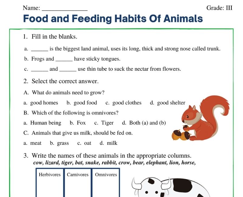 Food and Feeding Habits Of Animals | worksheet