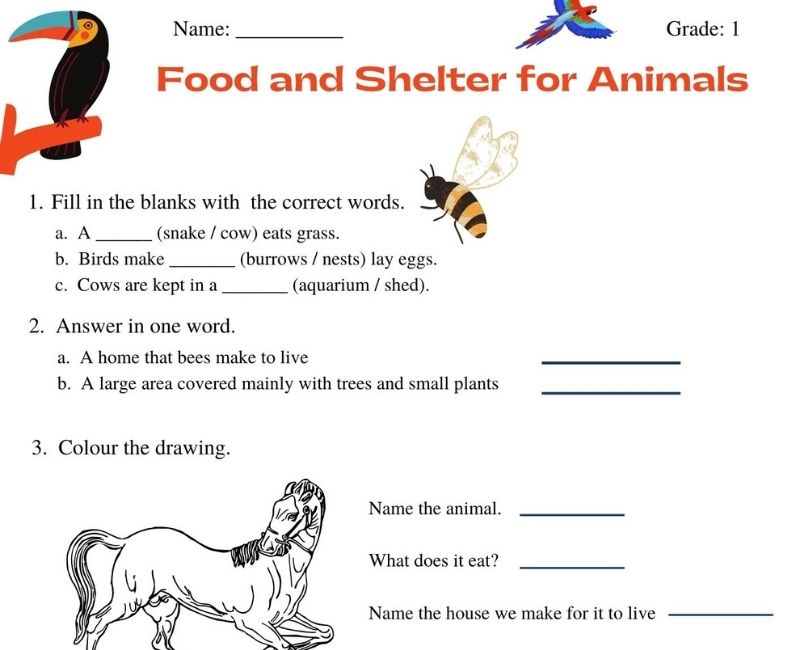 Food and shelter for animals grade 1 worksheet
