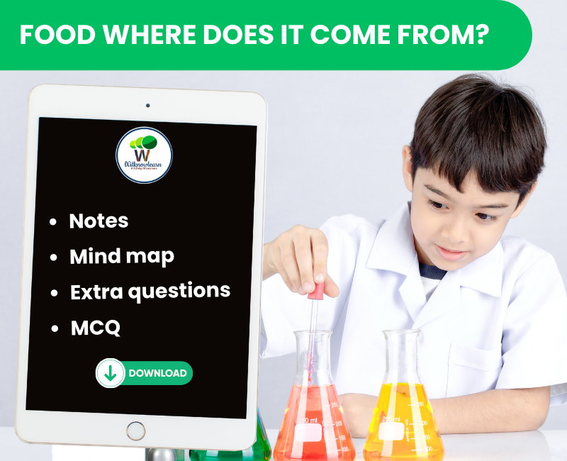 food-where-does-it-come-from-class-6th-notes-mcqs-printables