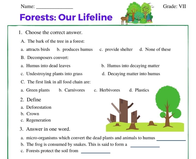 importance of forest worksheet