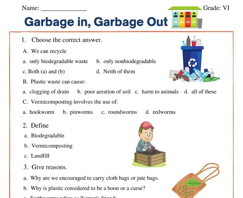 Garbage in Garbage out for class 6 | worksheet