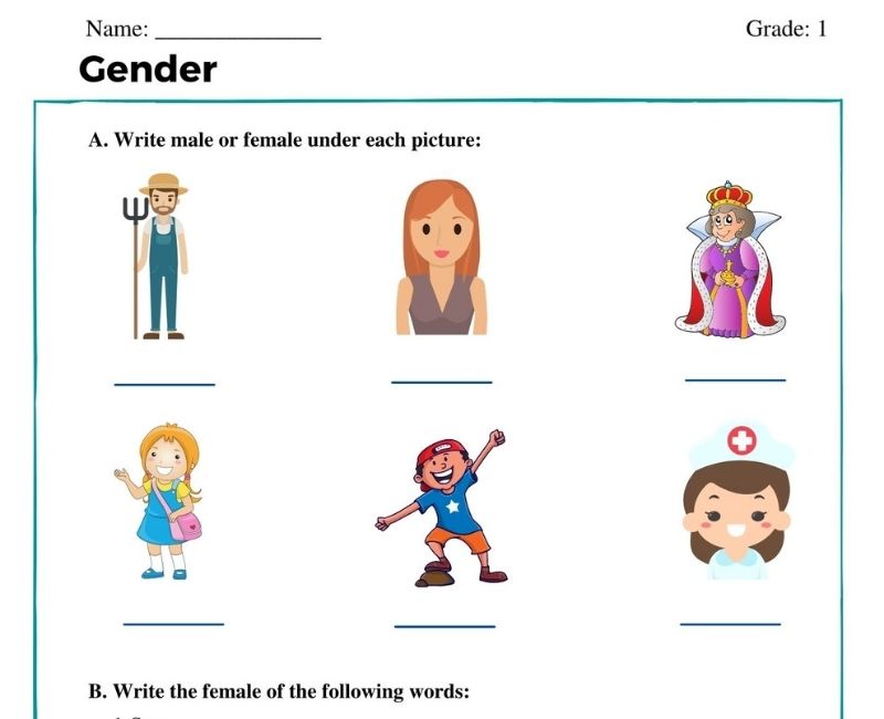 gender worksheet for class 1 gender of noun worksheet