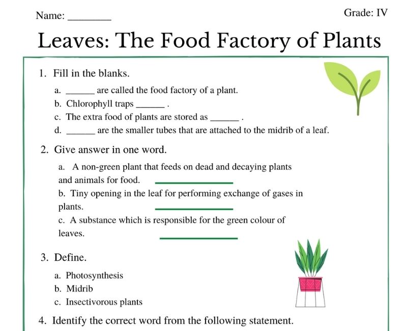 leaves-and-the-food-factory-of-plants-engaging-worksheets-for-class-4