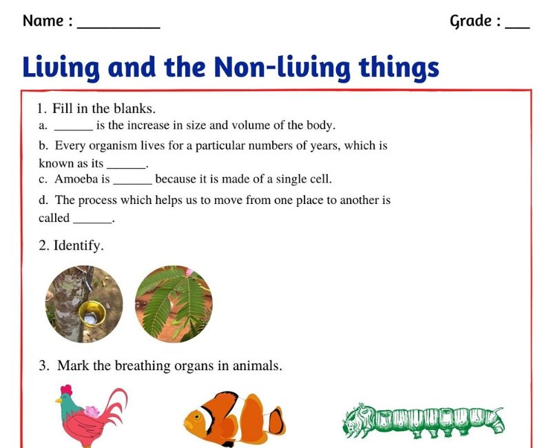 living-things-worksheet-grade-1-free-download-gmbar-co