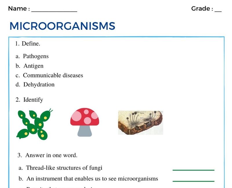 Microorganisms