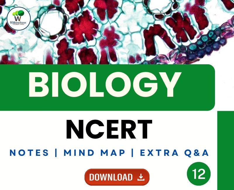 Molecular Basis Of Inheritance Class 12 Notes And Mind Map   Molecular Basis Of Inheritance Class 12 Notes Mind Map And Important Questions 0 2024 19 01 080601 