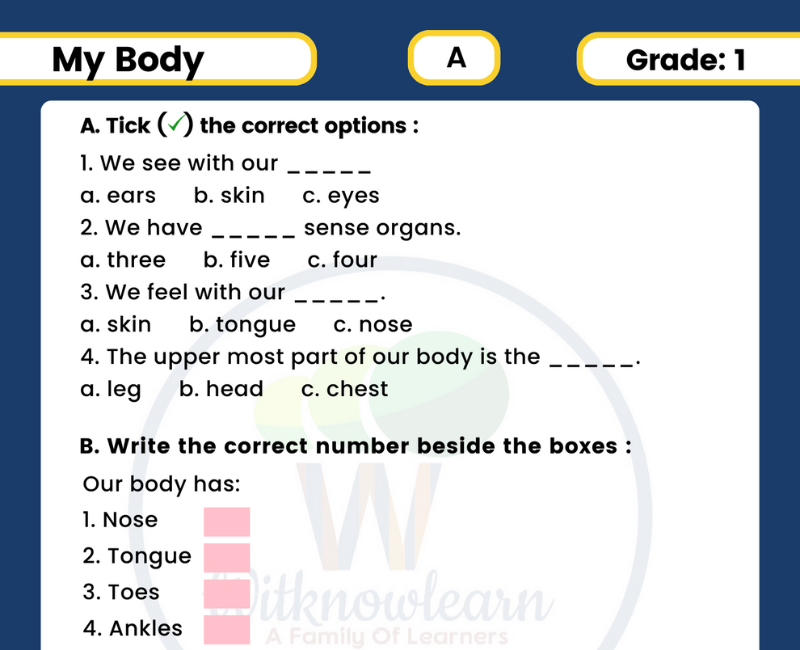 6 Pages Printable My Body Worksheet for Class 1: A Comprehensive Guide