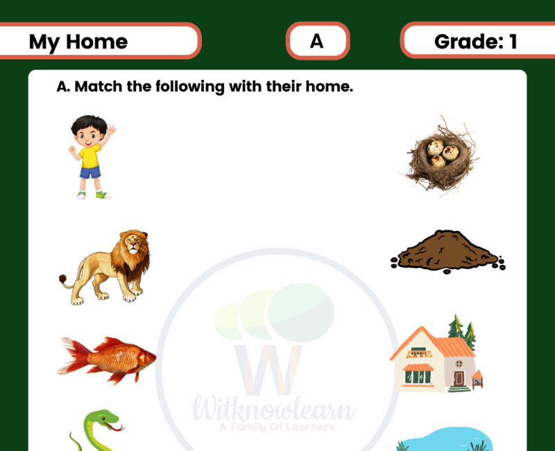 fun-and-engaging-evs-my-home-worksheet-activities-for-class-1
