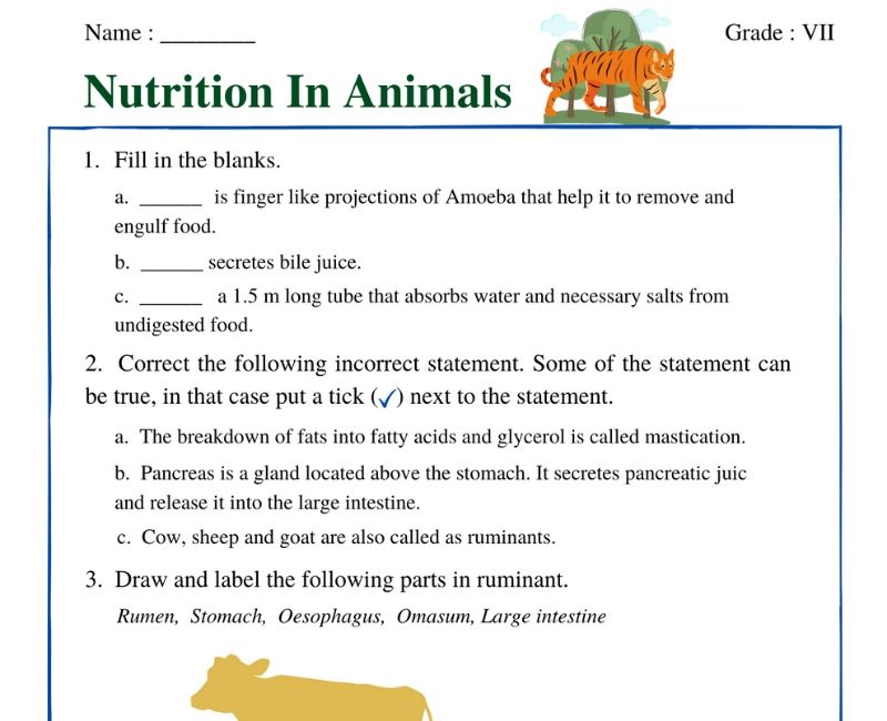 Nutrition in animals for class 7 worksheet