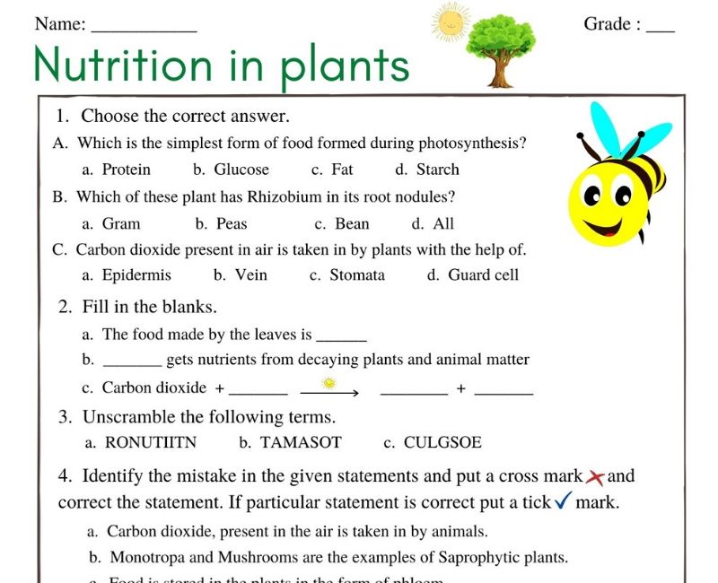 A Comprehensive Guide to Nutrition in Plants (Class 7 Worksheet)