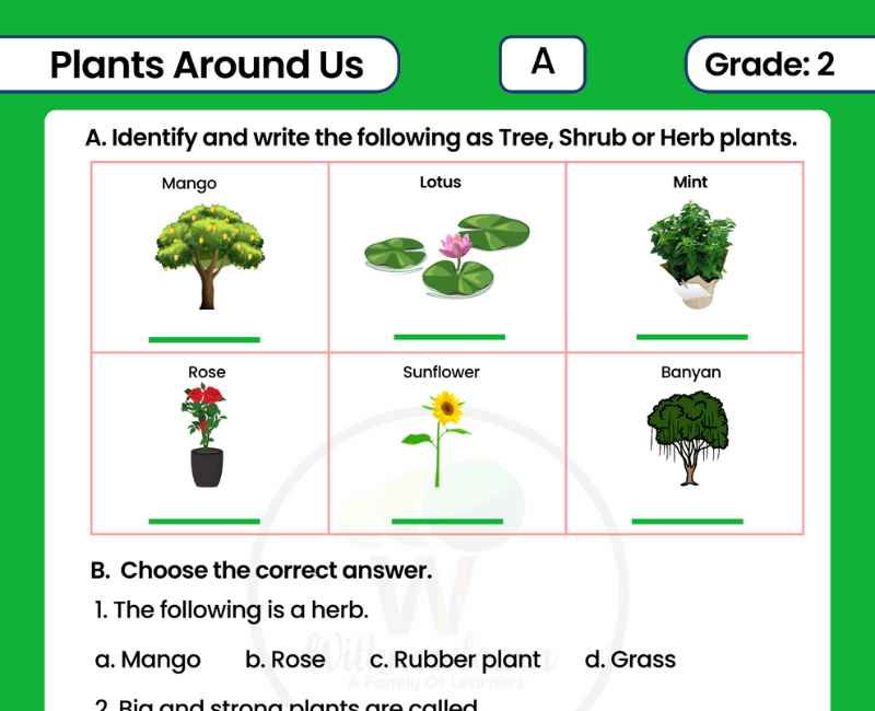 get-your-hands-on-the-best-evs-class-2-plants-around-us-worksheet-with