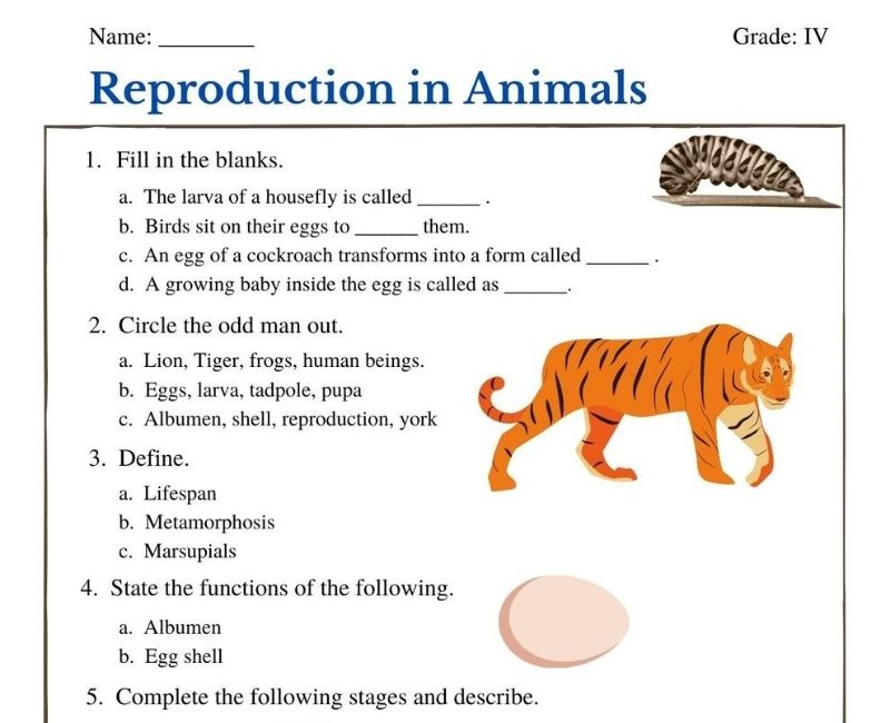 Reproduction in Animals class 4 worksheet