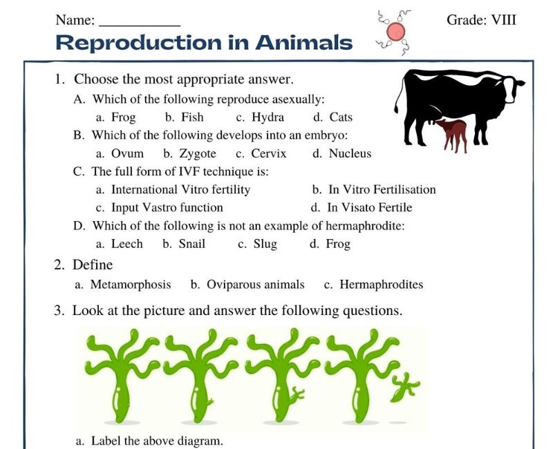 Expertly Designed Class 8 Worksheets on Reproduction in Animals Free to  Download