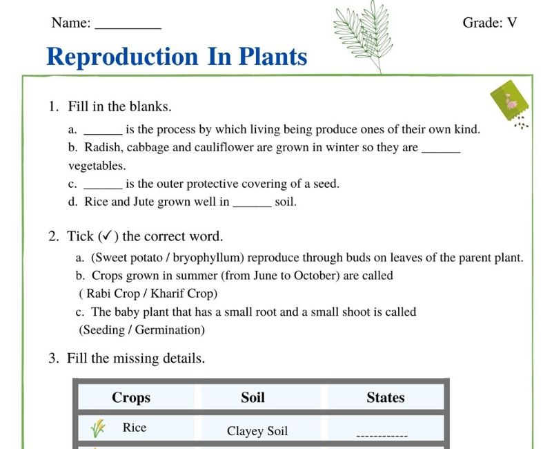 Reproduction In Plants Class 5 Worksheet