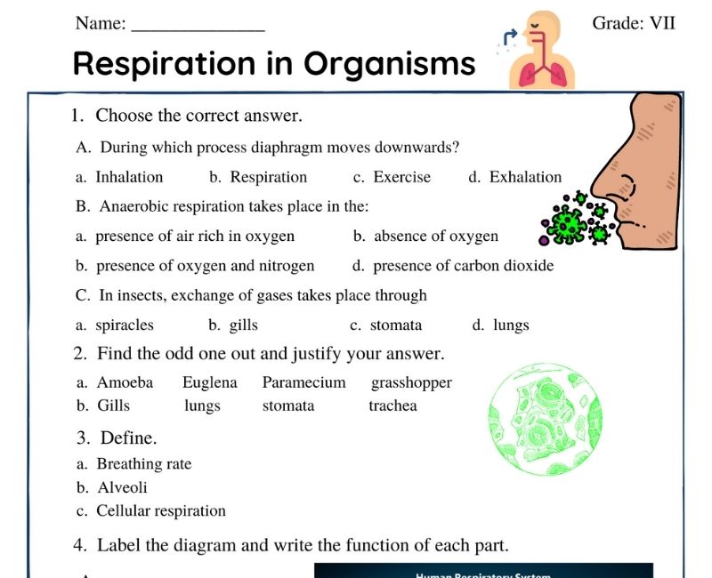 case study questions for class 7 science respiration in organisms