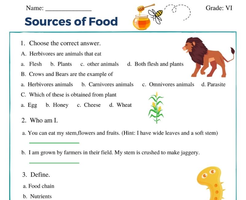 Sources of food class 6 | worksheet