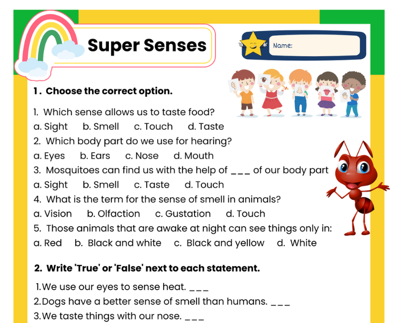 NCERT Class 5 EVS Super Senses Worksheets with Answers