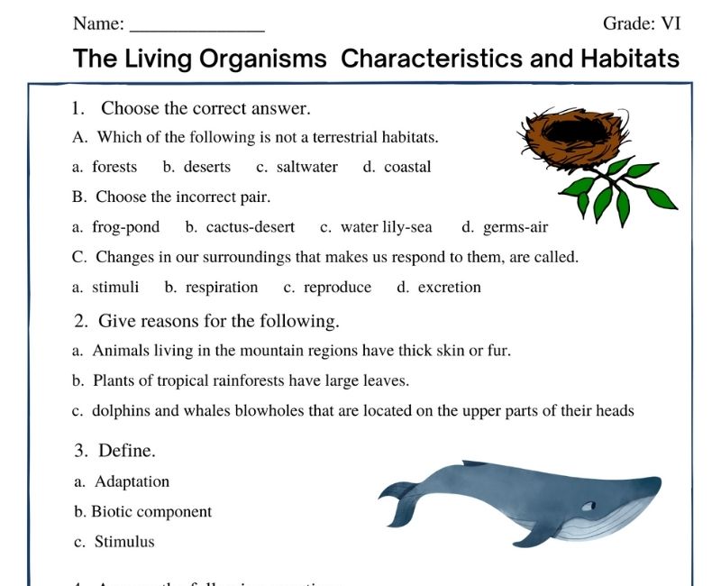 The Living Organisms- Characteristics and Habitats | worksheet