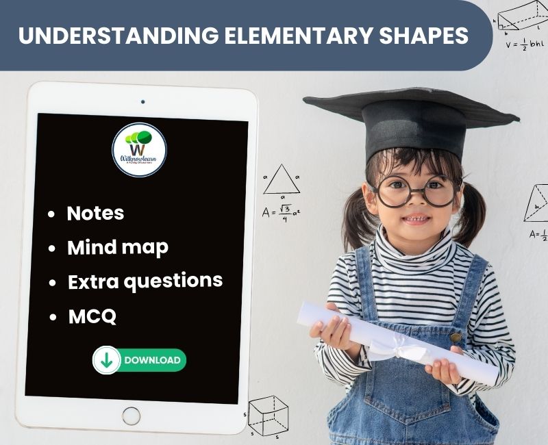 the-ultimate-guide-to-mastering-elementary-shapes-in-class-6-notes