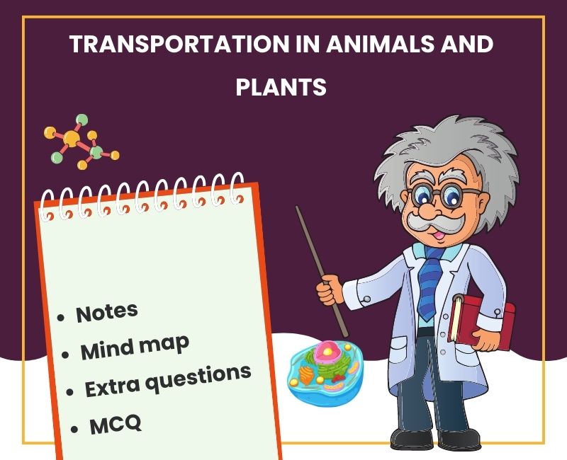 Transportation in Animals and Plants: Class 7 Notes & MCQs