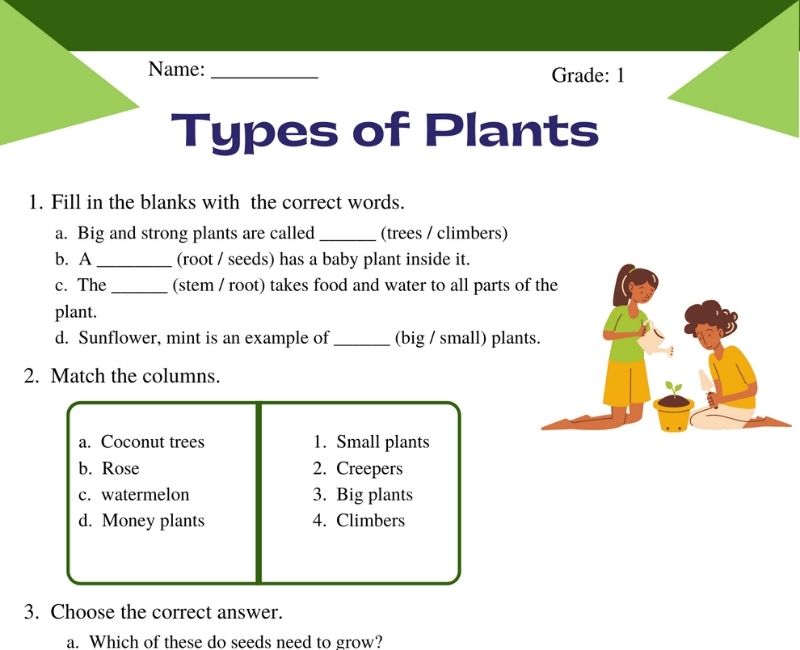 worksheet on types of plants for grade 1