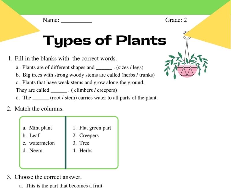 types of plants worksheets for grade 2