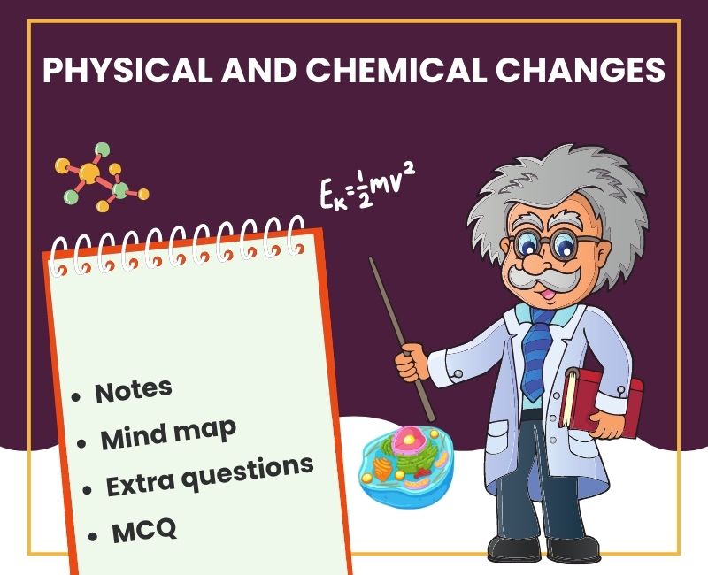 Understanding Physical And Chemical Changes For Class 7 Notes MCQs