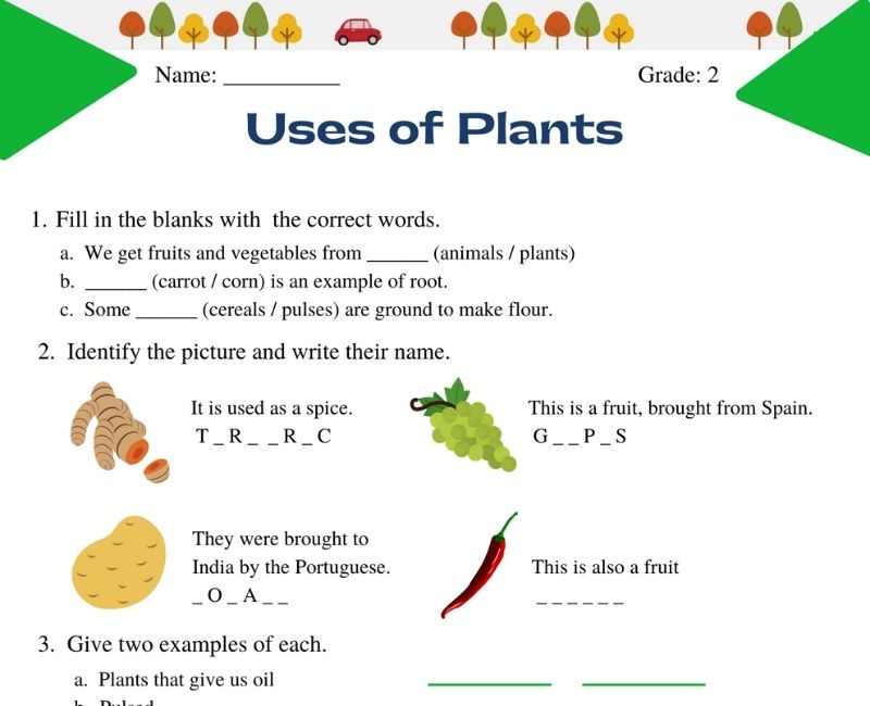 uses of plants worksheet for grade 2