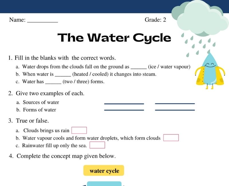 assignment for water cycle