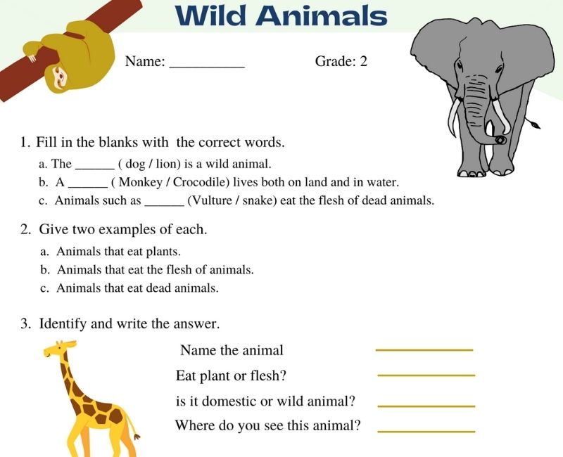 Wild animals worksheets for grade 2