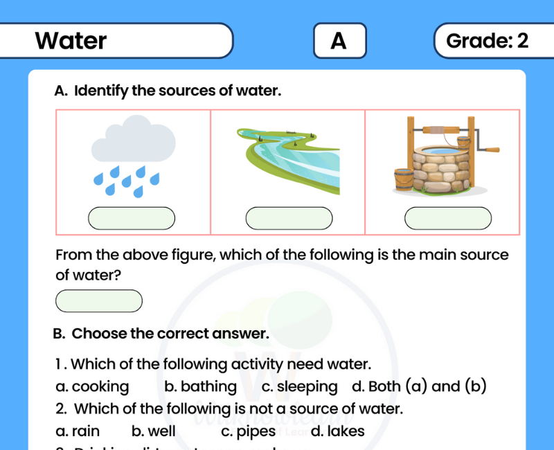 Complete Class 2 EVS Water Worksheet Pack with Answers Included