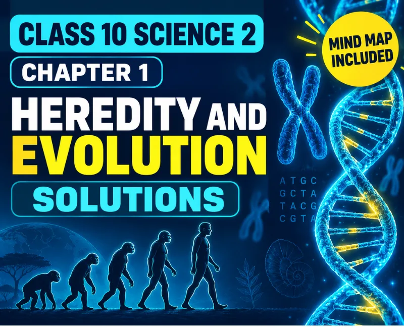 Class 10 Science 2 Chapter 1 Heredity and Evolution answers maharashtra state board