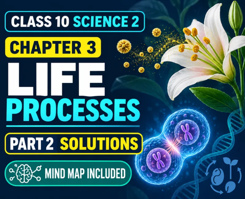 Class 10 Science 2 Chapter 3 Life Processes Part 2 solutions showing a flower, cell division, DNA and mind mapClass 10 Science 2 Chapter 3 solutions
